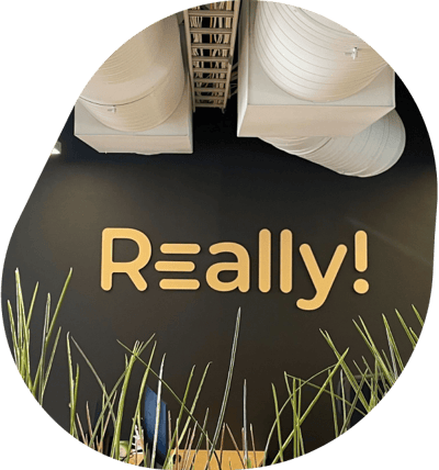 TeamReally2 TeamReally2